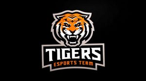 نمونه کار انیمیت مسکات tiger