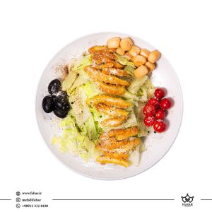 نمونه کار عکاسی تبلیغاتی کترینگ روبواستار (مهام نوید سلامت)